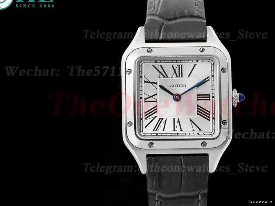 Dumont LE Quartz Dial Silver SS AF Grey Santos 0321