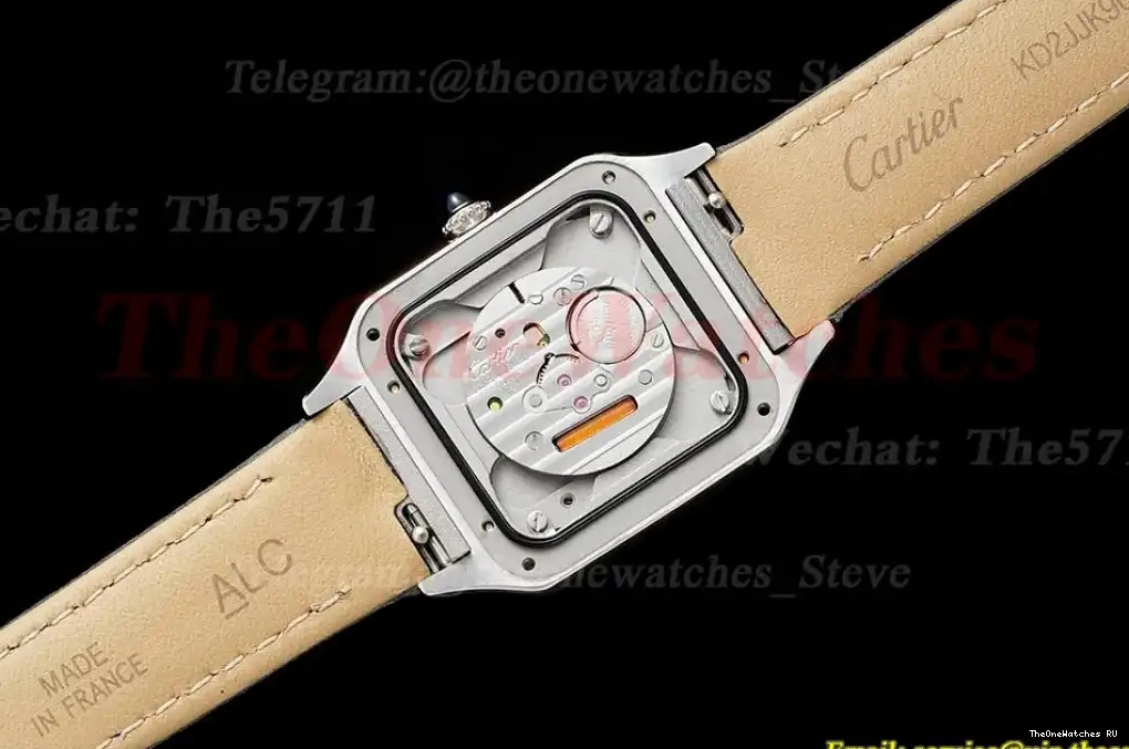 Dumont LE Quartz Dial Silver SS AF Grey Santos 0321