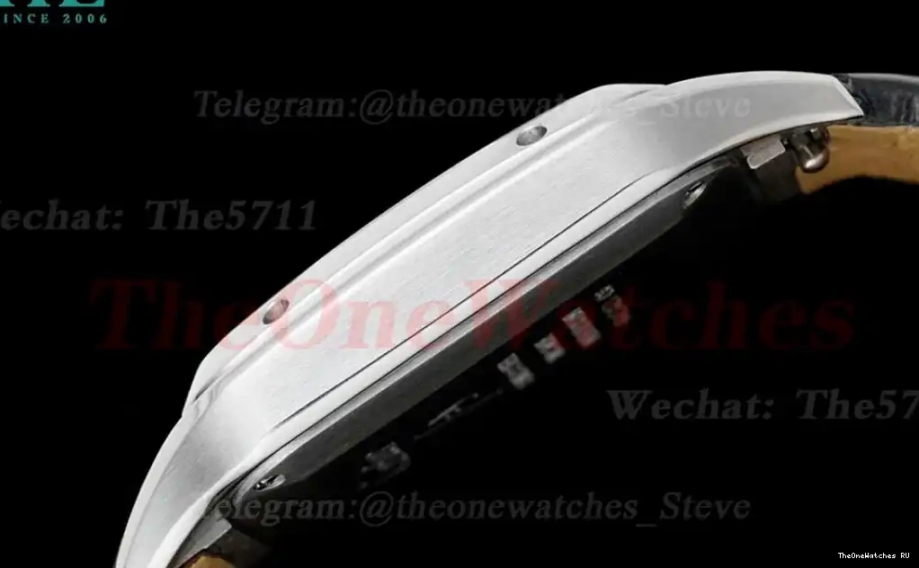Dumont LE Quartz Dial Silver SS AF Grey Santos 0321