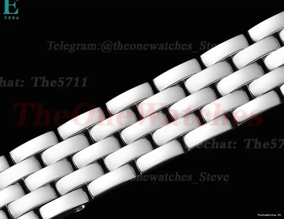 Secrete SS Ladies SS De 8848F Swiss Qtz Panthere White 22mm 0319