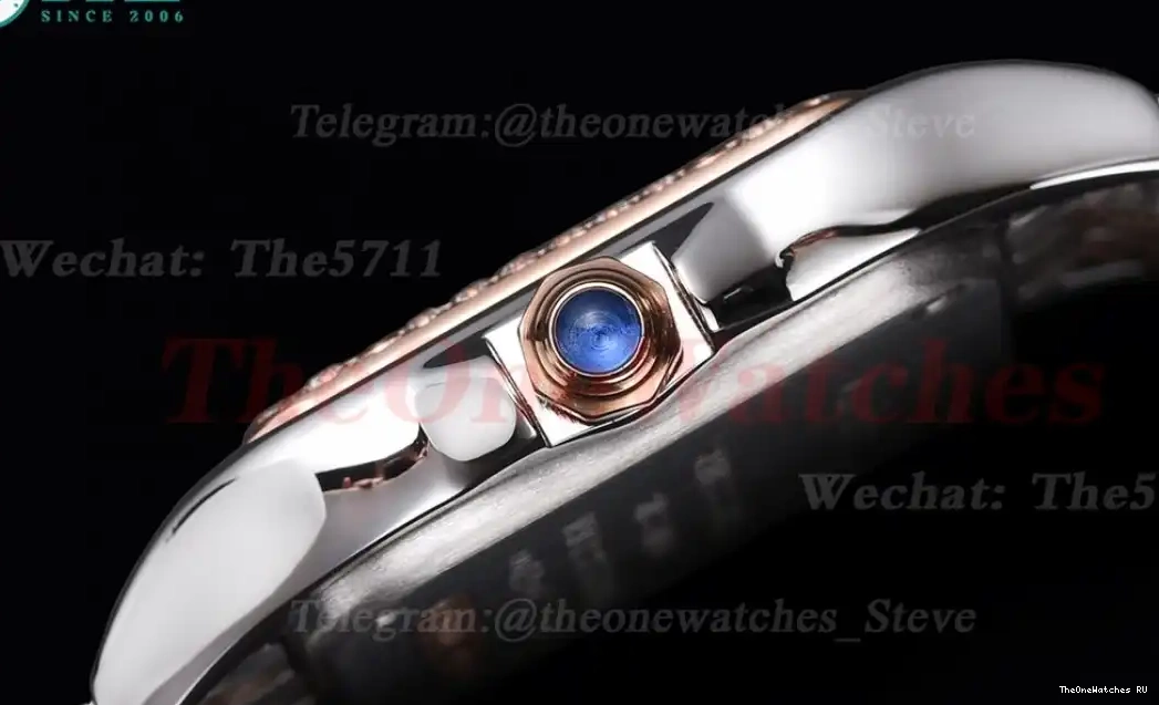 Panthere RG Dial Ladies Dia De Swiss Secrete White SS Qtz 8848F 22mm 0320