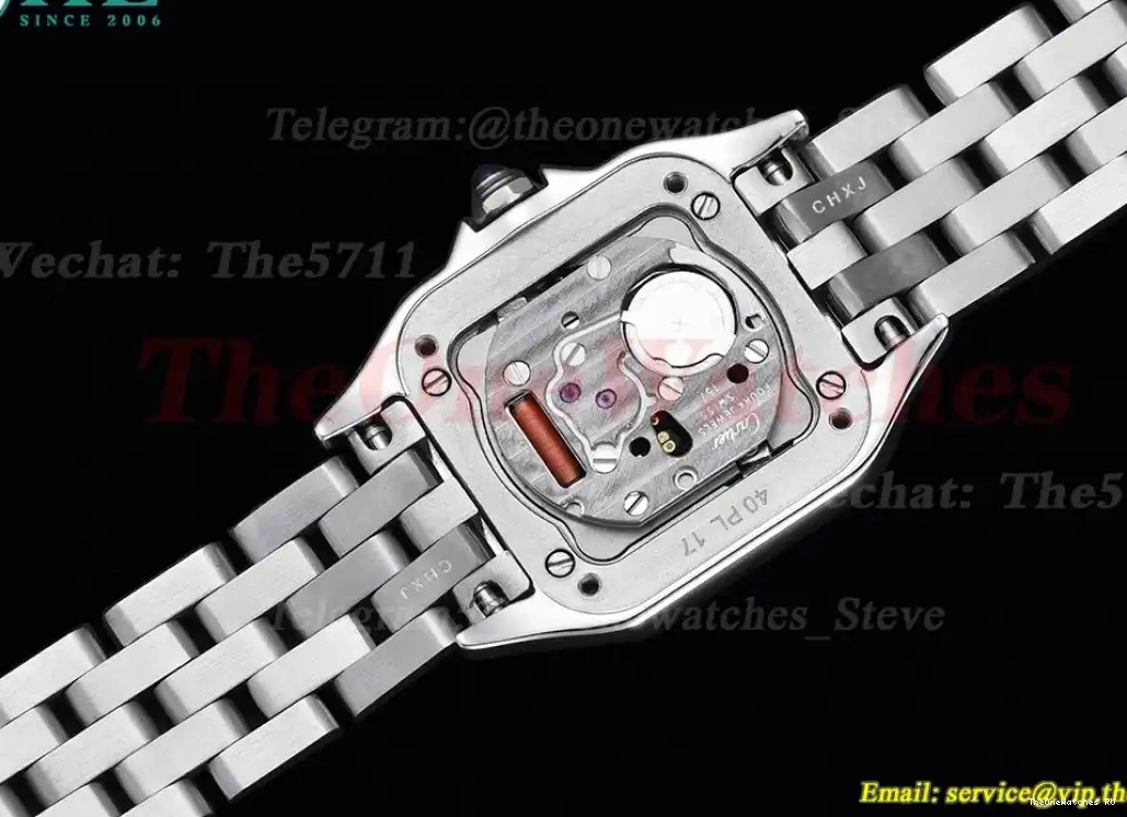 Secrete SS Ladies SS De 8848F Swiss Qtz Panthere White 22mm 0319