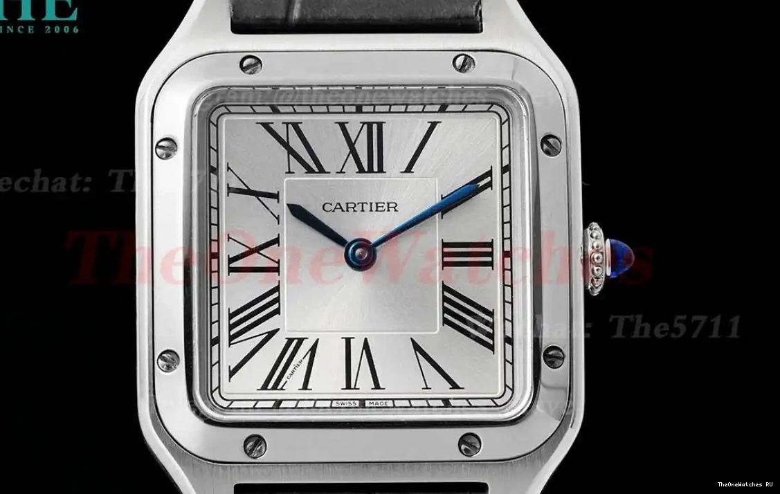 Dumont LE Quartz Dial Silver SS AF Grey Santos 0321