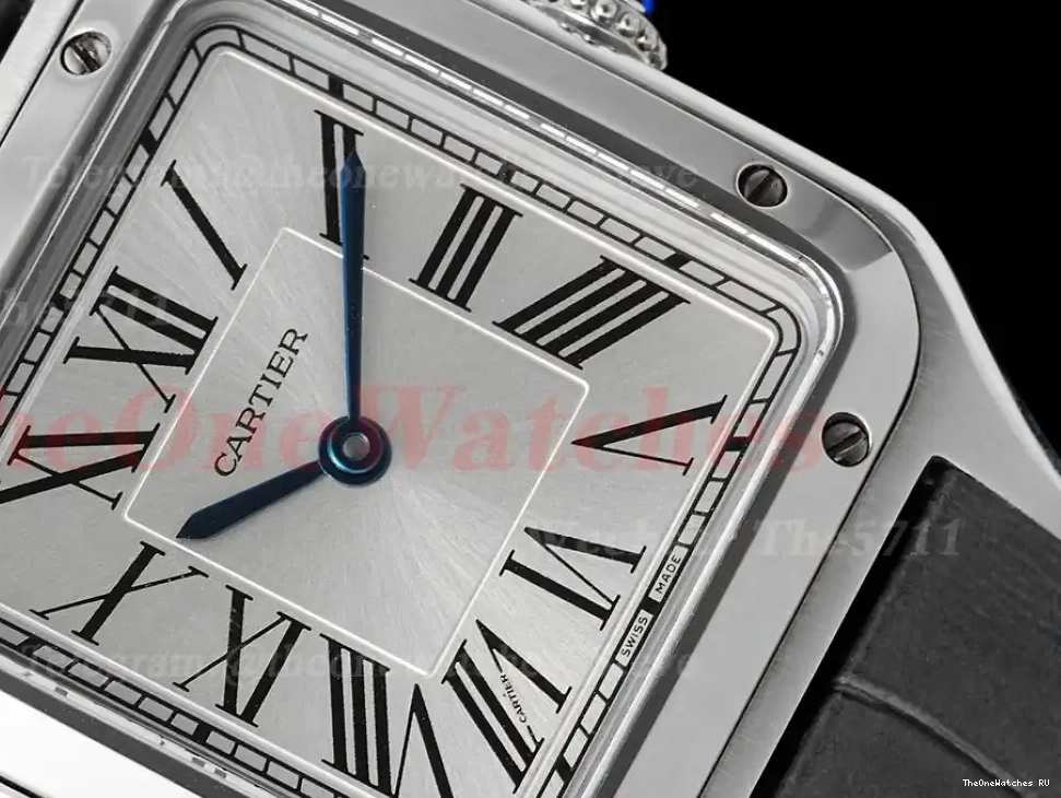 Dumont LE Quartz Dial Silver SS AF Grey Santos 0321